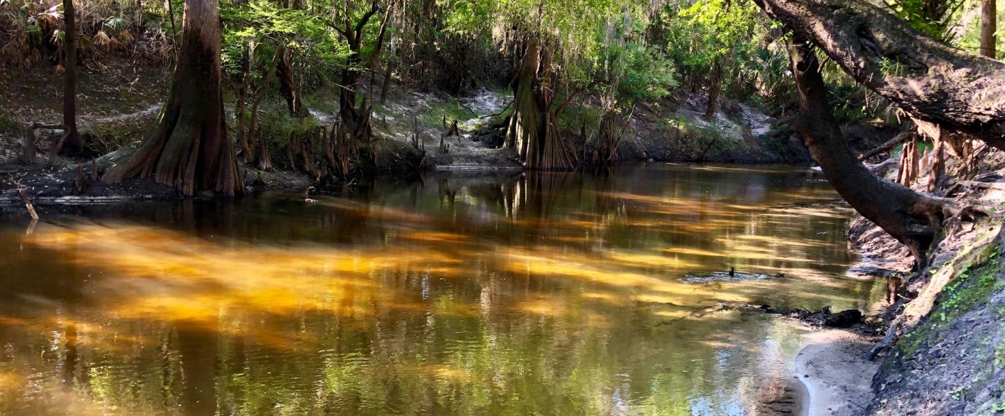 A view of the creek that feeds into Peace River.