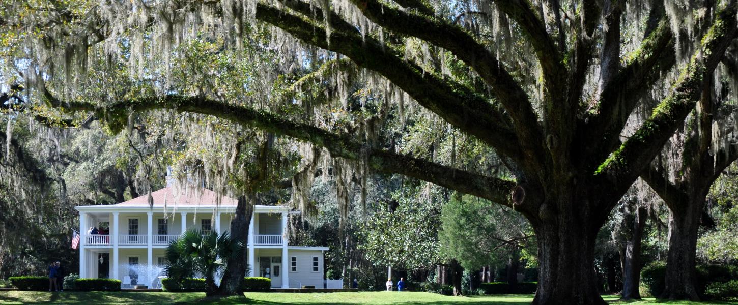 Eden Gardens State Park Florida State Parks