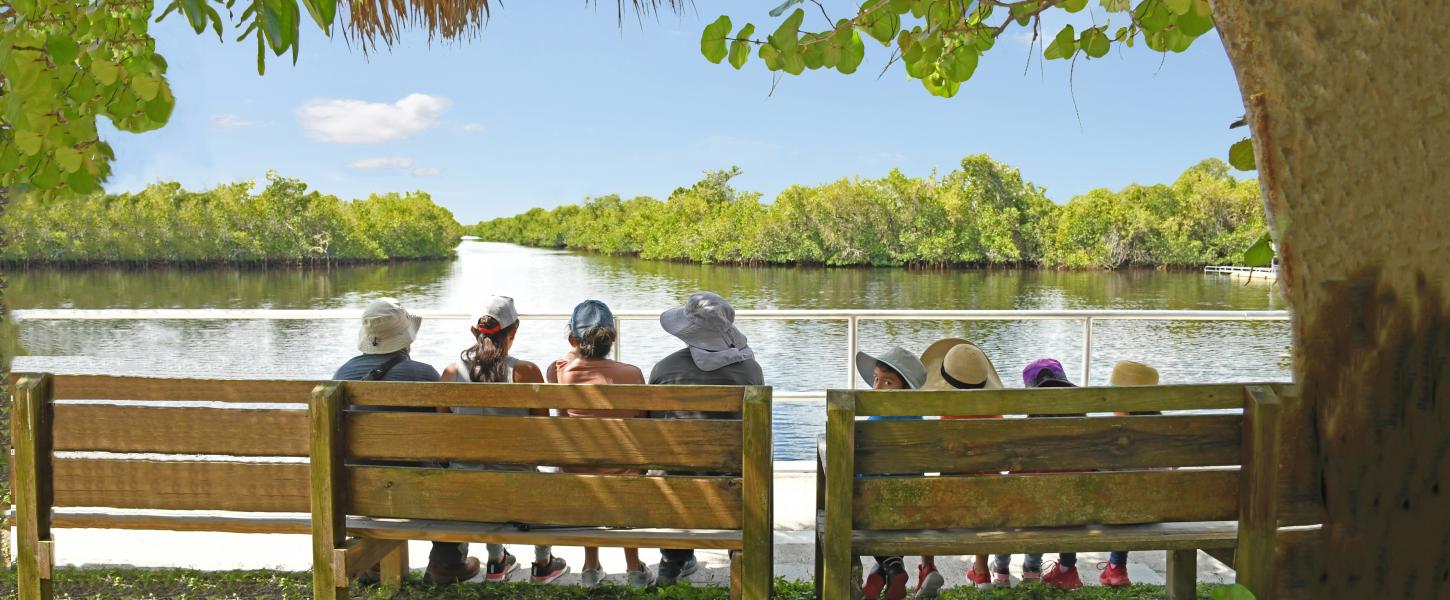 family sitting on benches by river water and mangroves