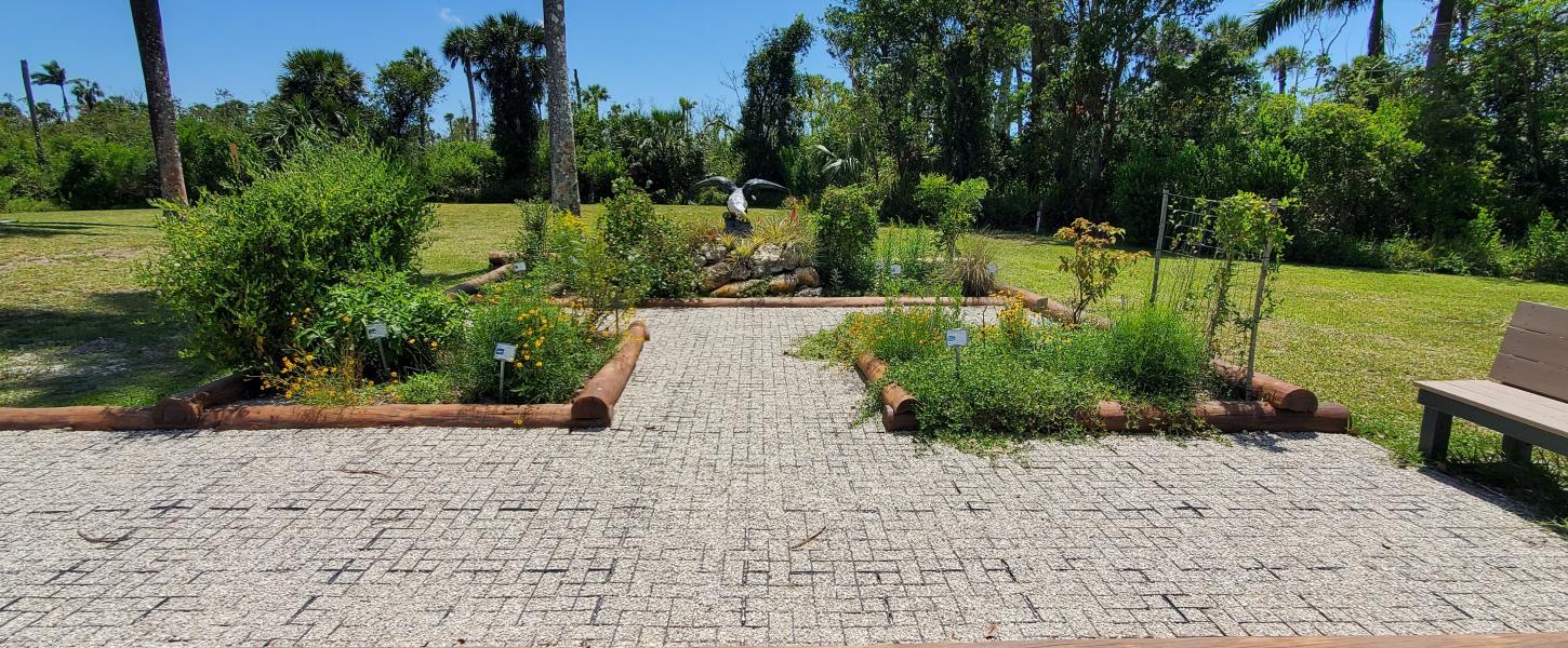 Butterfly garden with native Florida plants