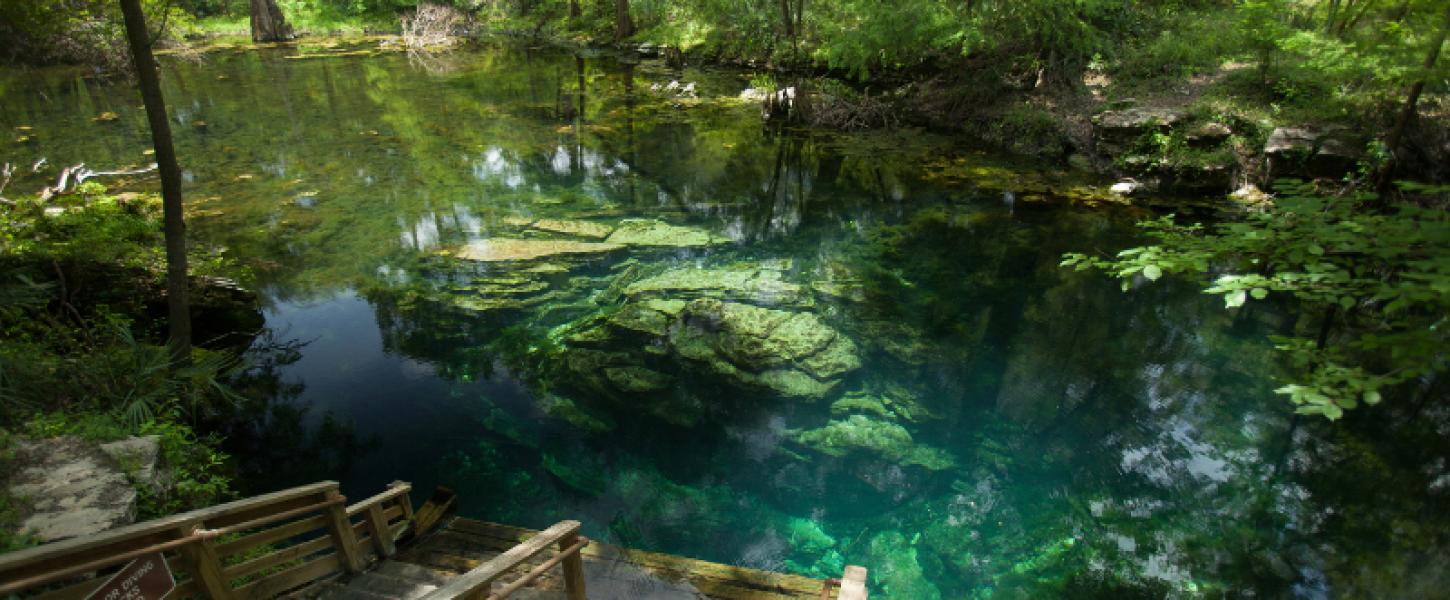 a set of steps leads down into a crystal clear body of blue-green water surrounded by trees.