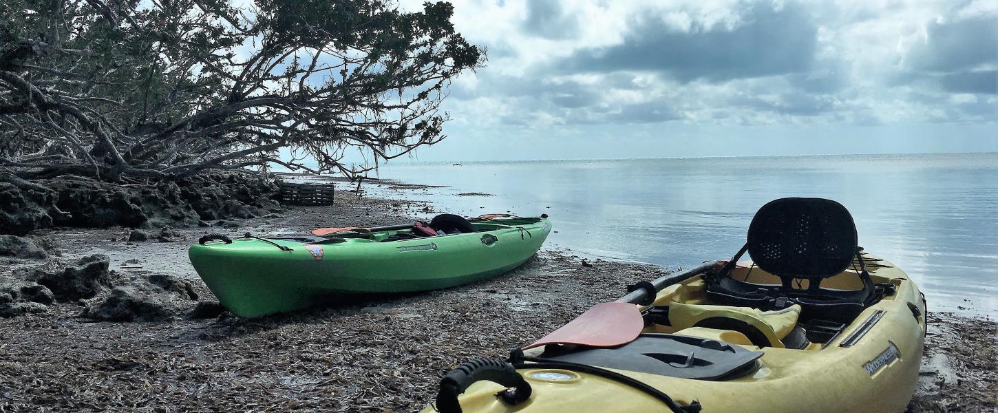 Kayaks at kayak Landing