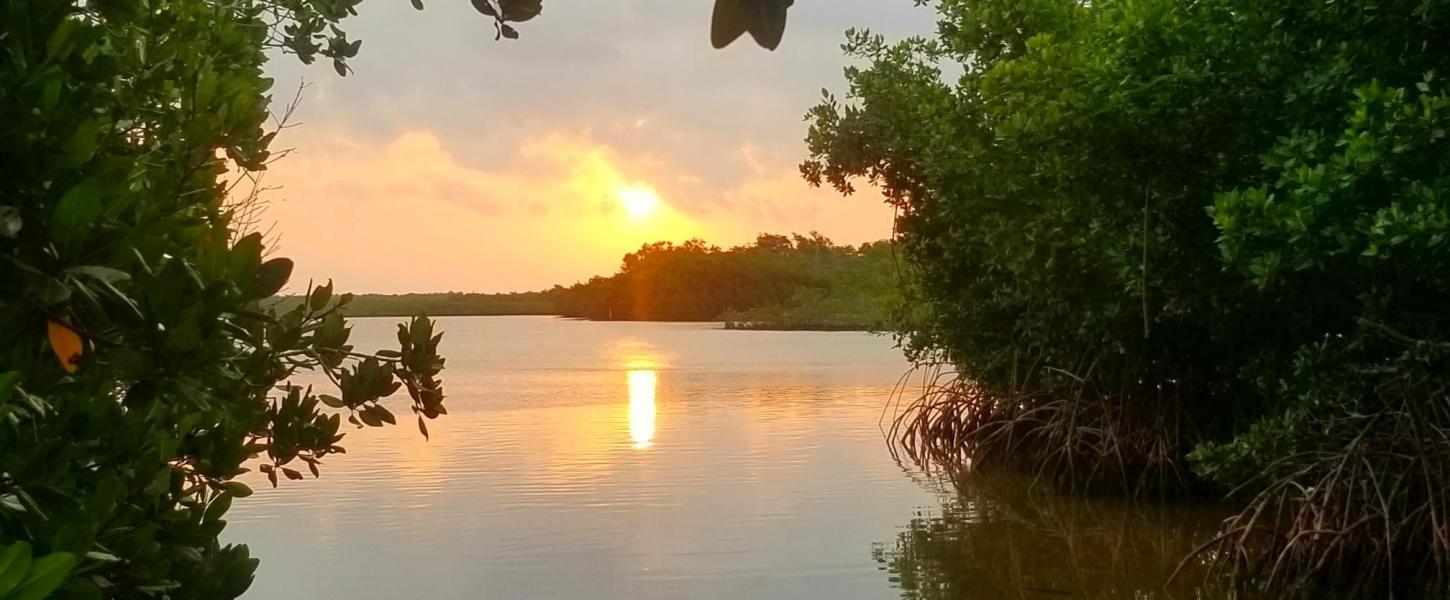 Kayak Launch at Sunrise 