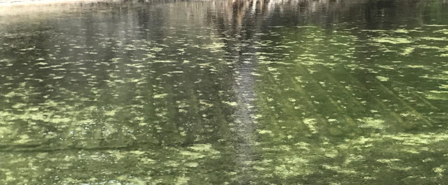 the shape of a ship is visible under the water in a spring run