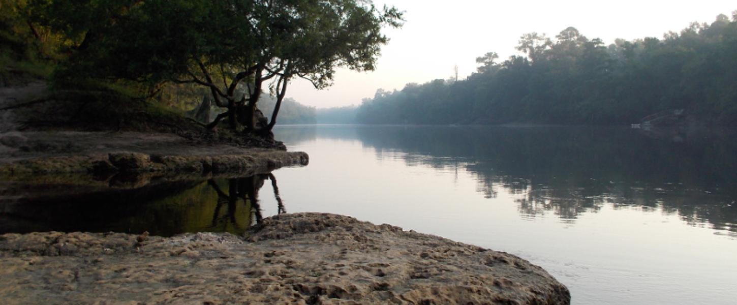 a river covered in mist flows past a spring entrance. Trees also cover the banks.