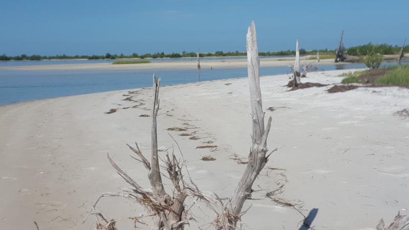 A view of the beach at Anclote Key.