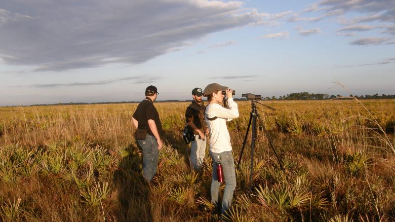 Prairie viewed by three visitors