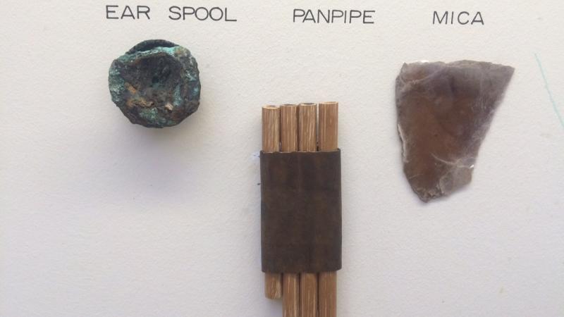 Artifacts Display at Crystal River Archaeological State Park