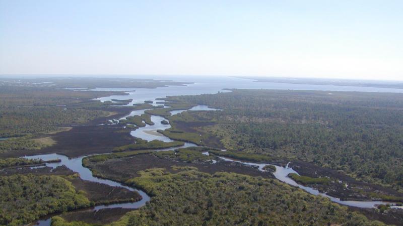 A top down view of the expansive Charlotte Harbor Preserve State Park