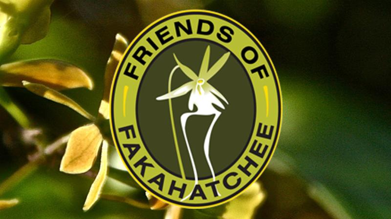 Friends of Fakahatchee Strand Preserve State Park