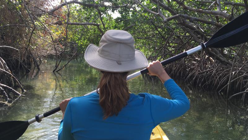 Kayaking in a Mangrove Channel at Lignumvitae Key State Park
