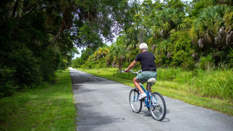 A man rides a bicycle at Felburn Park on the Marjorie Harris Carr Cross Florida Greenway.