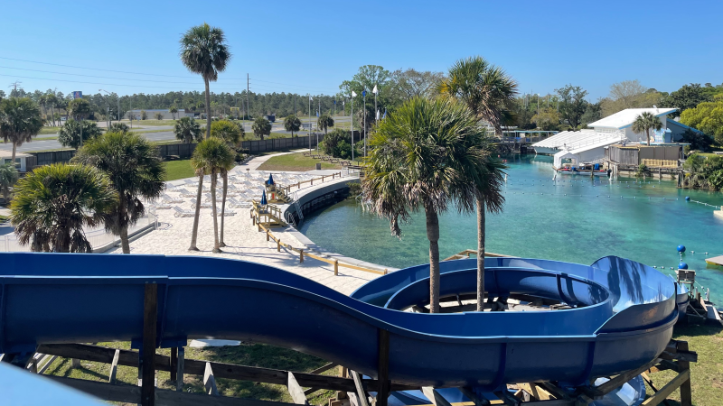 Looking down on Buccaneer Bay from the top of the Cannonball waterslide