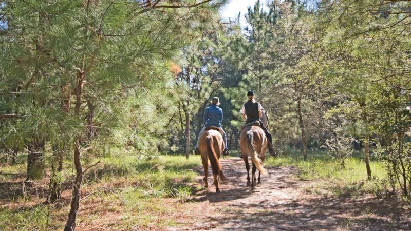Two women riding the trail on horseback