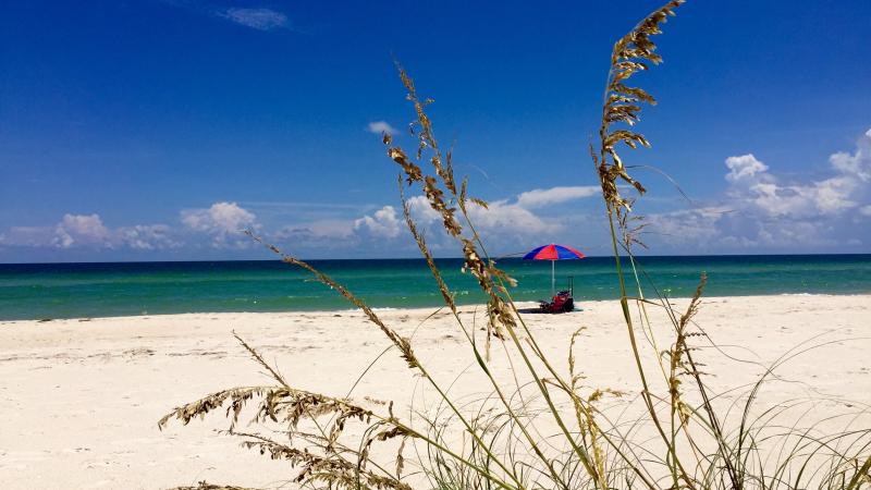 View of Beach and sea oats with vistor under an umbrella