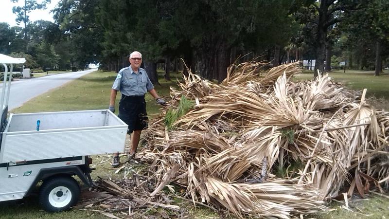 Volunteer Terry Wilson unloads palm fronds from the back of a golf cart. 
