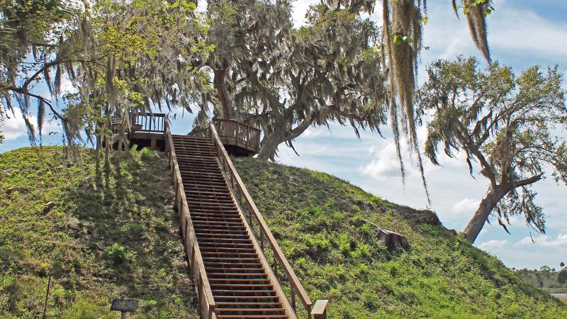 a long set of stairs leads up a large hill to an observation platform, surrounded by trees draped with spanish moss.