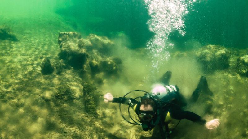 a diver swims below the surface in green water
