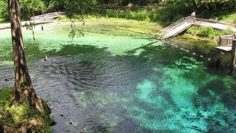 blue and green water mix in a spring with cypress trees and a swimming platform