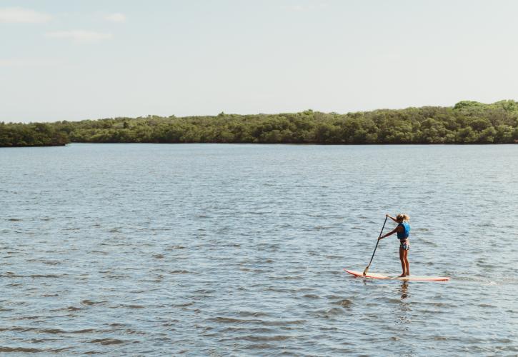 Paddleboarding on the water