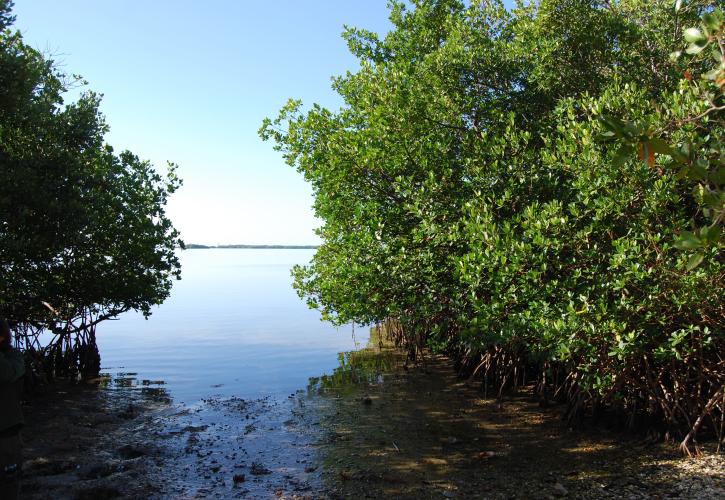 Mound Key Archaeological State Park