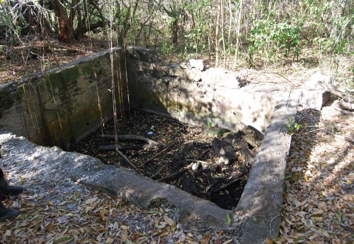 Mound Key Archaeological State Park