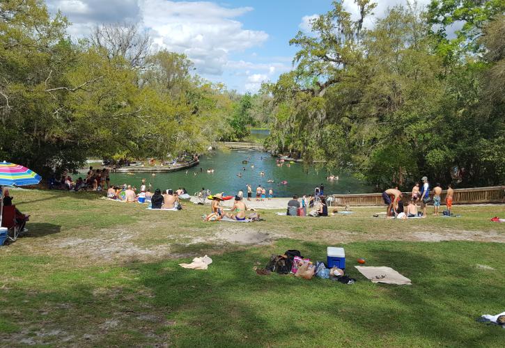 Wekiwa Springs with visitors enjoying the spring view
