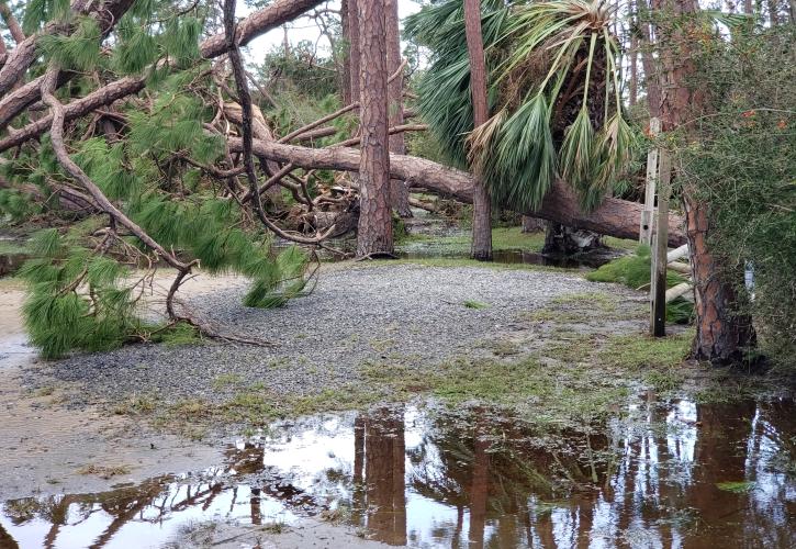 St. Andrews Hurricane Damage