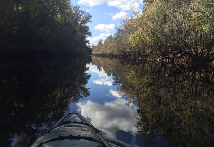 Suwannee River Headwaters Forest – Georgia - The Conservation Fund