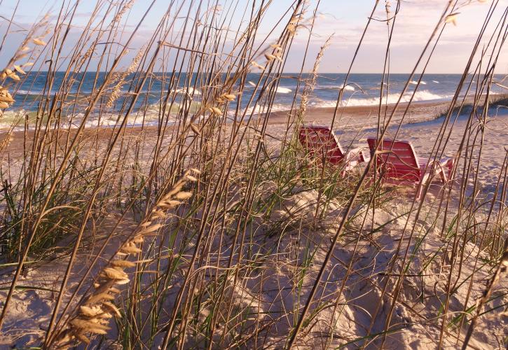 Amelia Island State Park