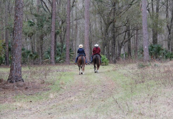 Two horseback riders at Colt Creek