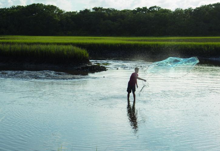 Fisherman casting a net in the marsh