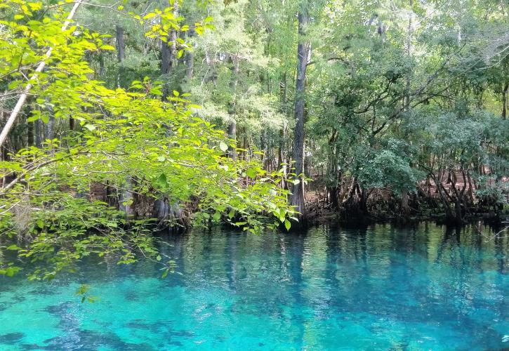 Manatee Springs State Park | Florida State Parks