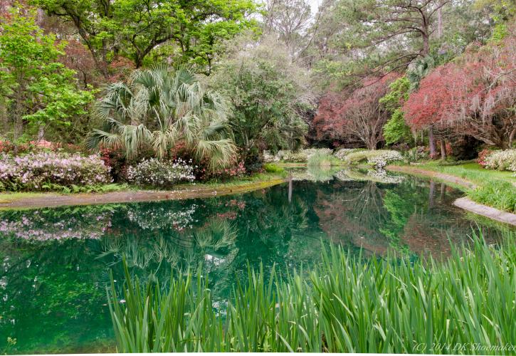 Alfred B Maclay Gardens State Park Florida State Parks