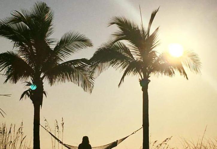 A view of someone standing between two palm trees at sunset.