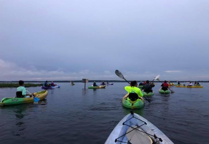 Tour group kayaking on Lake Louisa