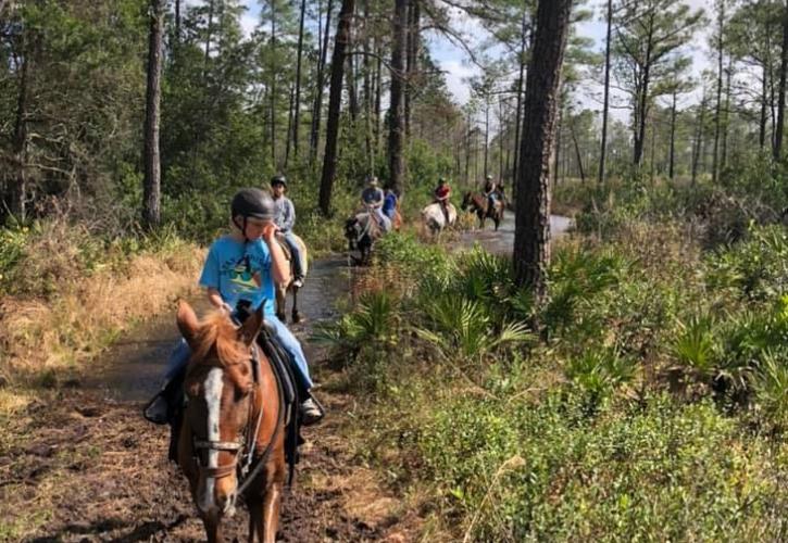 Horseback Riding at Lake Louisa