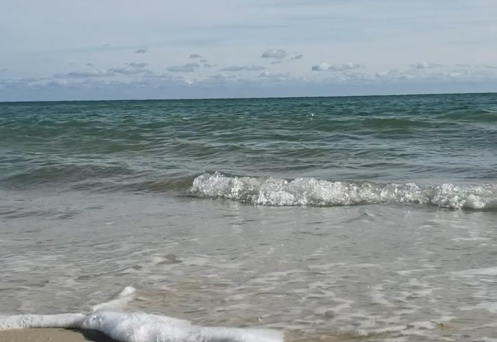 A view of the beach shoreline.