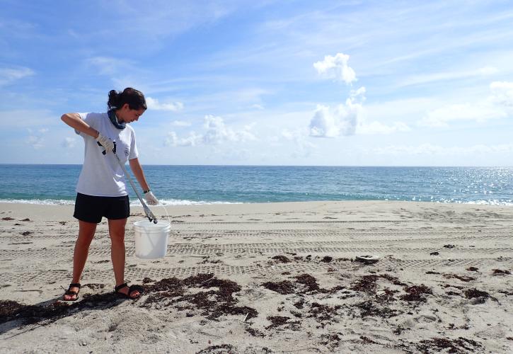Beach Clean up at John D. MacArthur Beach State Park