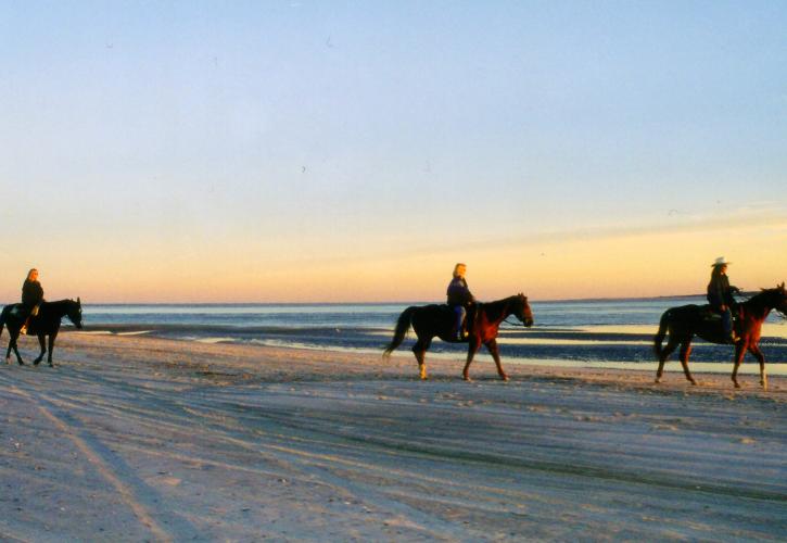 Amelia Island State Park