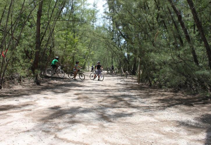 Bicyclers on Trail