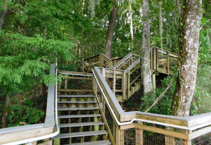 Boardwalk Staircase at Lake Talquin State Park