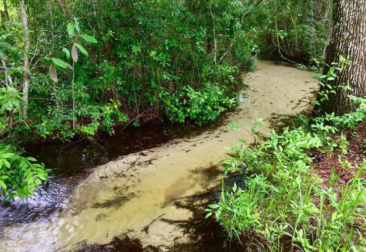 Ravine with clear water