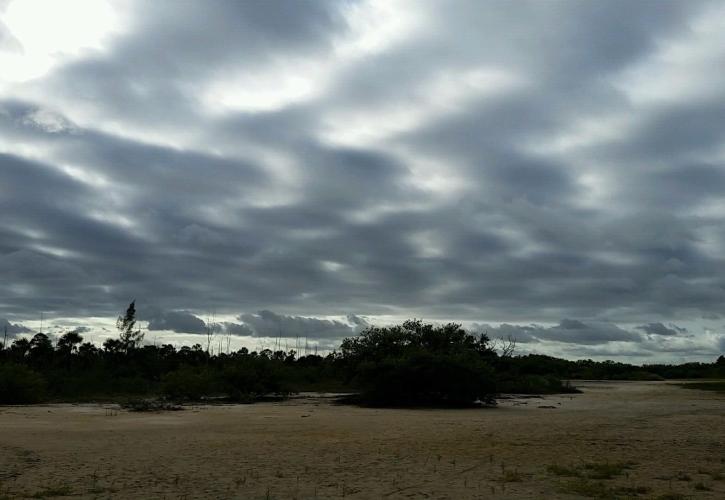 photo of Broadway Salt Flat at Estero Bay Preserve