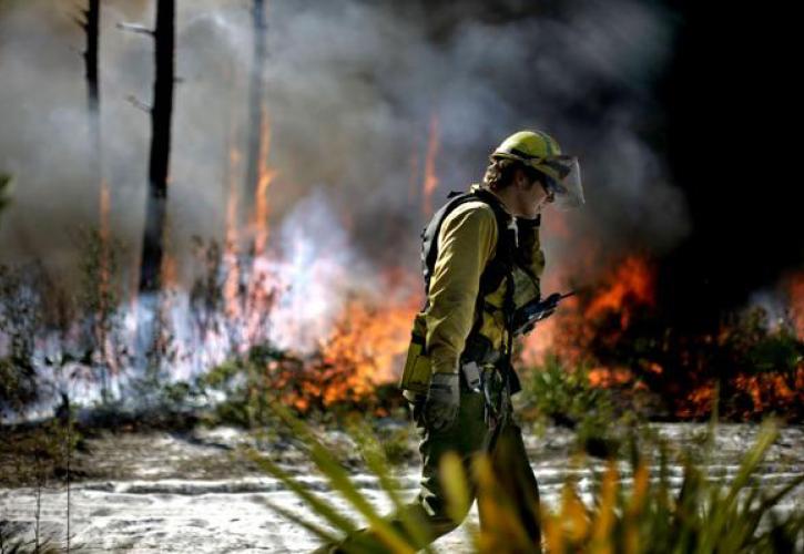  Seabranch Preserve Controlled Burn