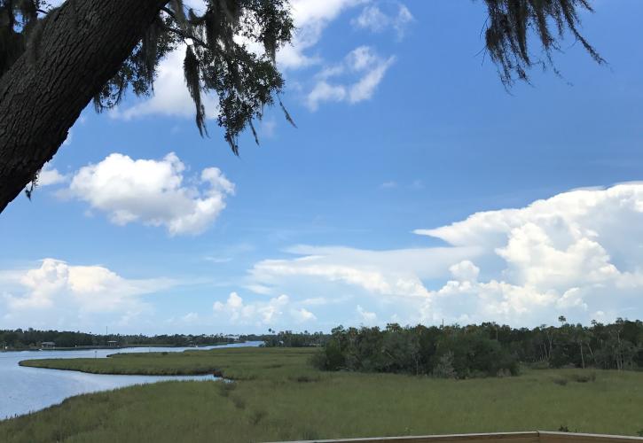 Daylight Clouds from the Mounds at Crystal River Archaeological State Park