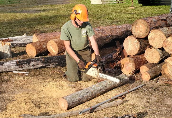 Man sawing firewood