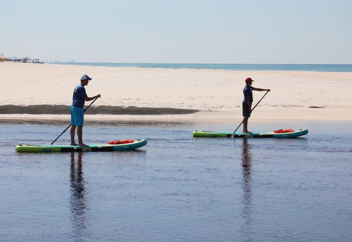 Two people stand on paddle boards at Camp Helen State Park.