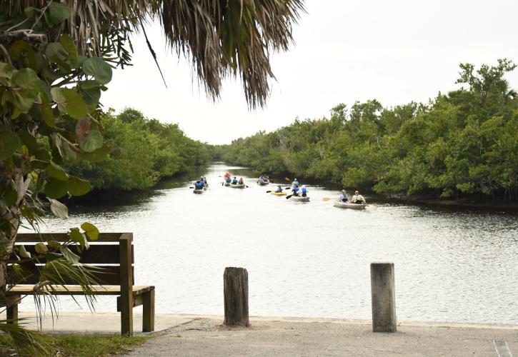 Canoes water palms bench