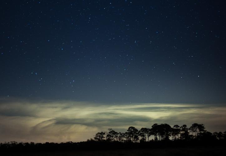 Star-filled dark sky over the salt marsh and pine trees at Cedar Key 